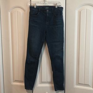LOFT modern skinny ankle jeans